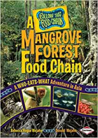 Image of Mangrove Forest Food Chain